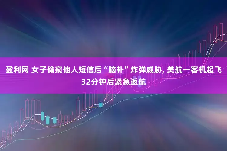 盈利网 女子偷窥他人短信后“脑补”炸弹威胁, 美航一客机起飞32分钟后紧急返航