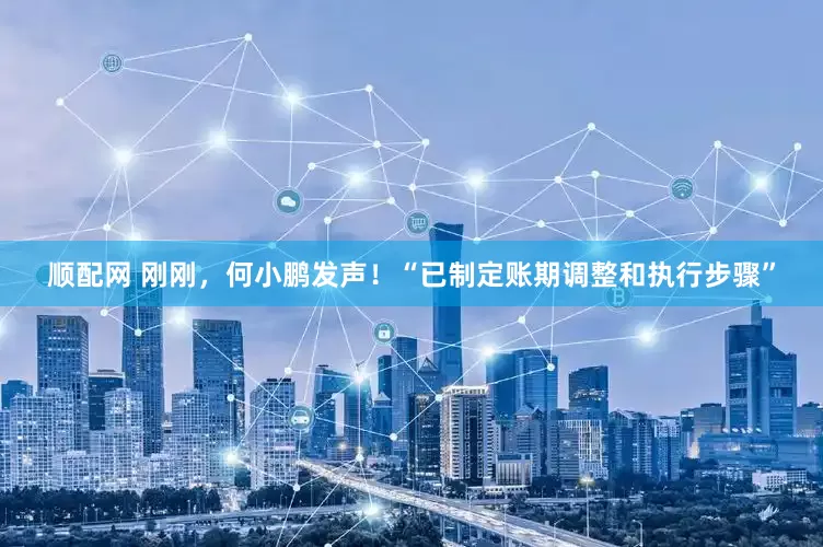 顺配网 刚刚，何小鹏发声！“已制定账期调整和执行步骤”