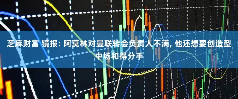 芝麻财富 镜报: 阿莫林对曼联转会负责人不满, 他还想要创造型中场和得分手